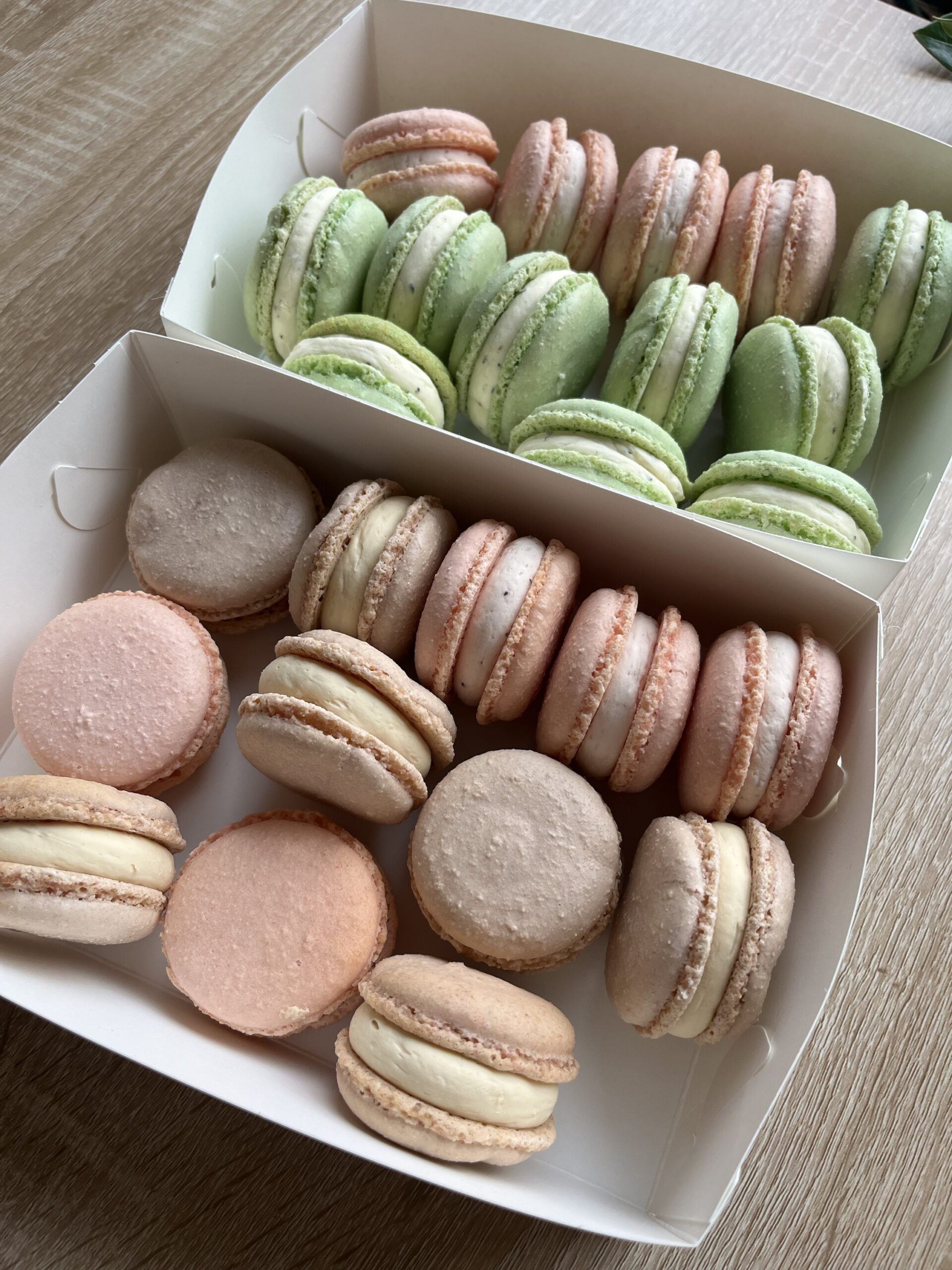 Macaron - Image 5